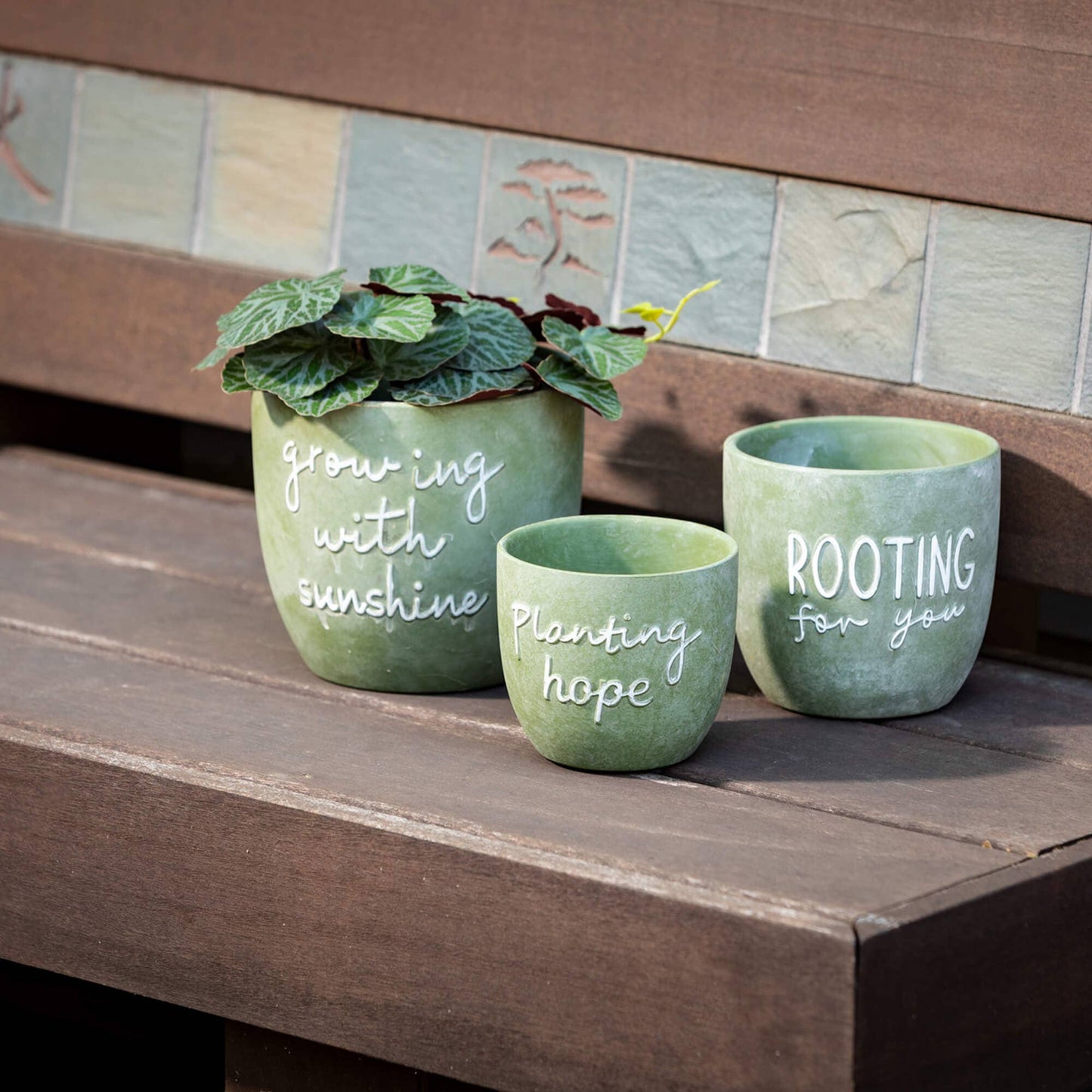 Rooting for You Planters-set of 3