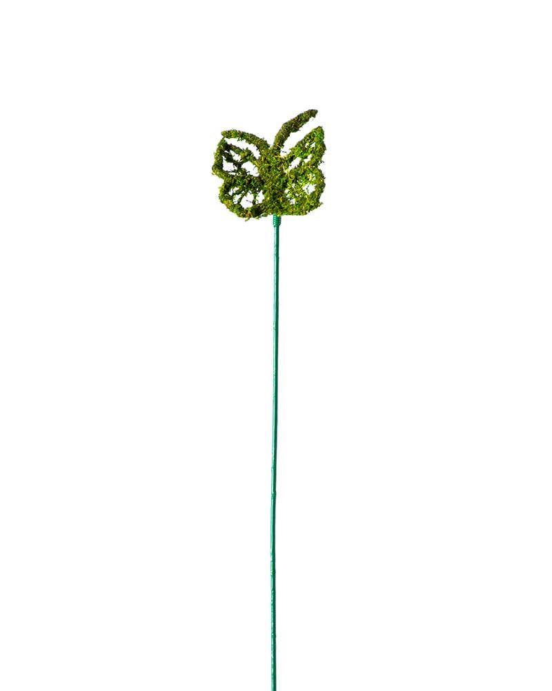 Monarch Moss Pick : Medium