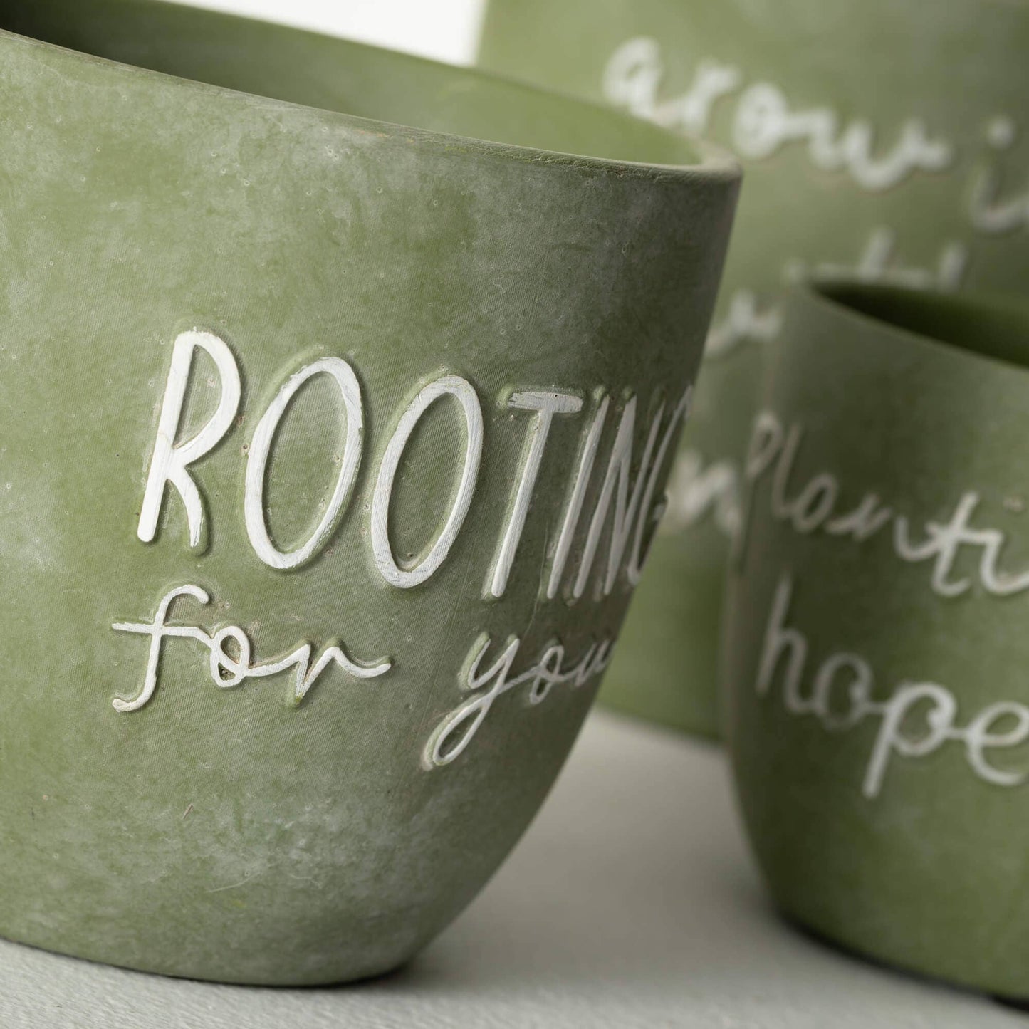 Rooting for You Planters-set of 3
