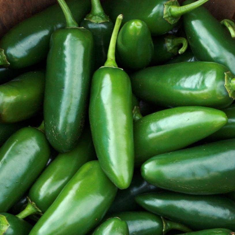 Hot Pepper Seeds - Early Jalapeño