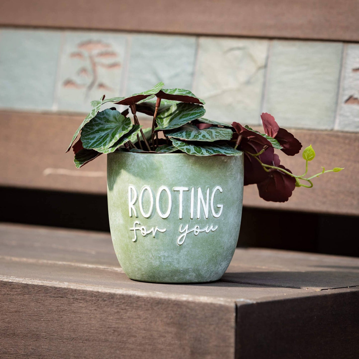 Rooting for You Planters-set of 3