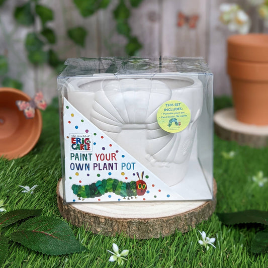Paint Your Own Plant Pot - Hungry Caterpillar, Flowerpot Kit