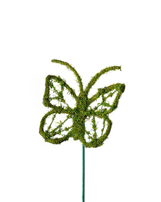 Monarch Moss Pick : Medium