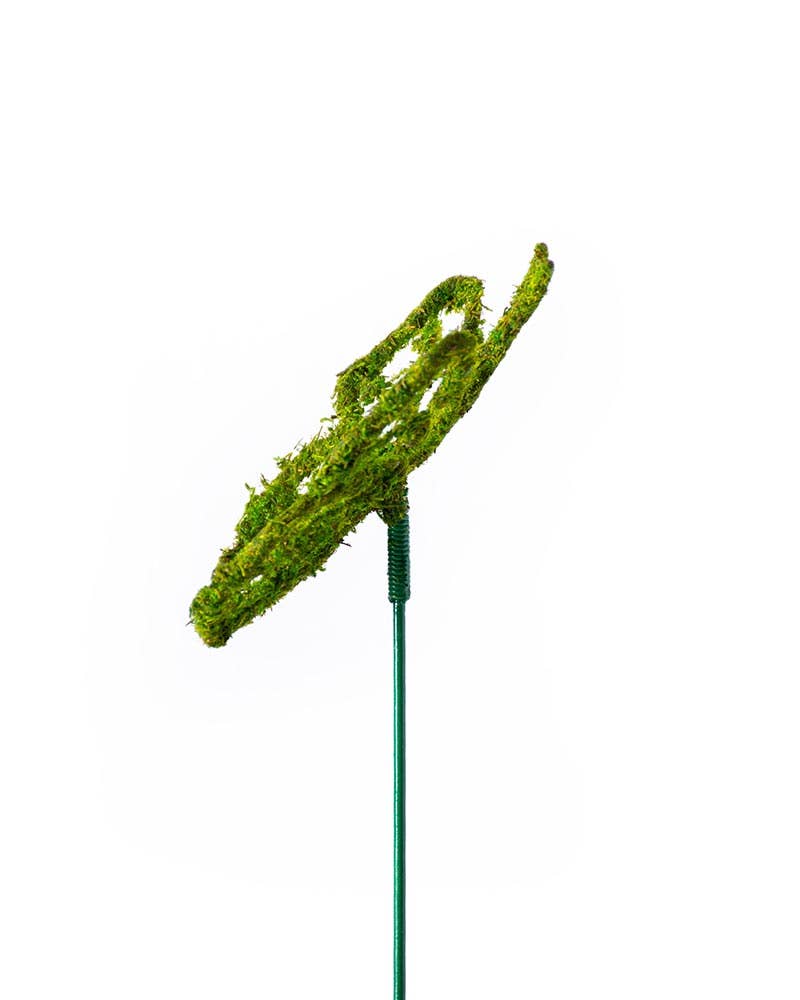 Monarch Moss Pick : Medium