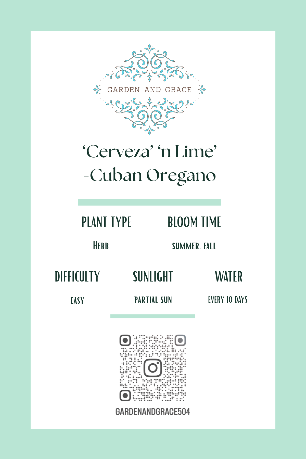 Snail-'Cerveza 'n Lime' 4" Flower Pot