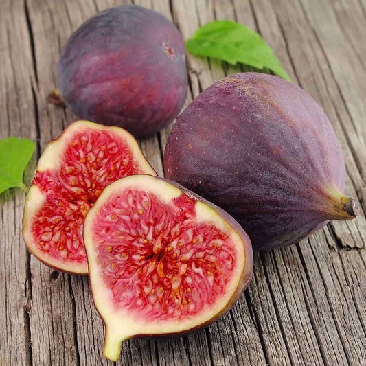 fig seeds