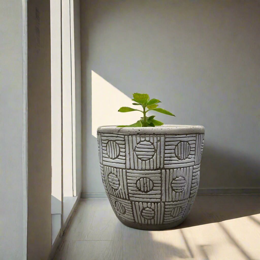 Cerveza in Lime-5" Cement Circle Pot