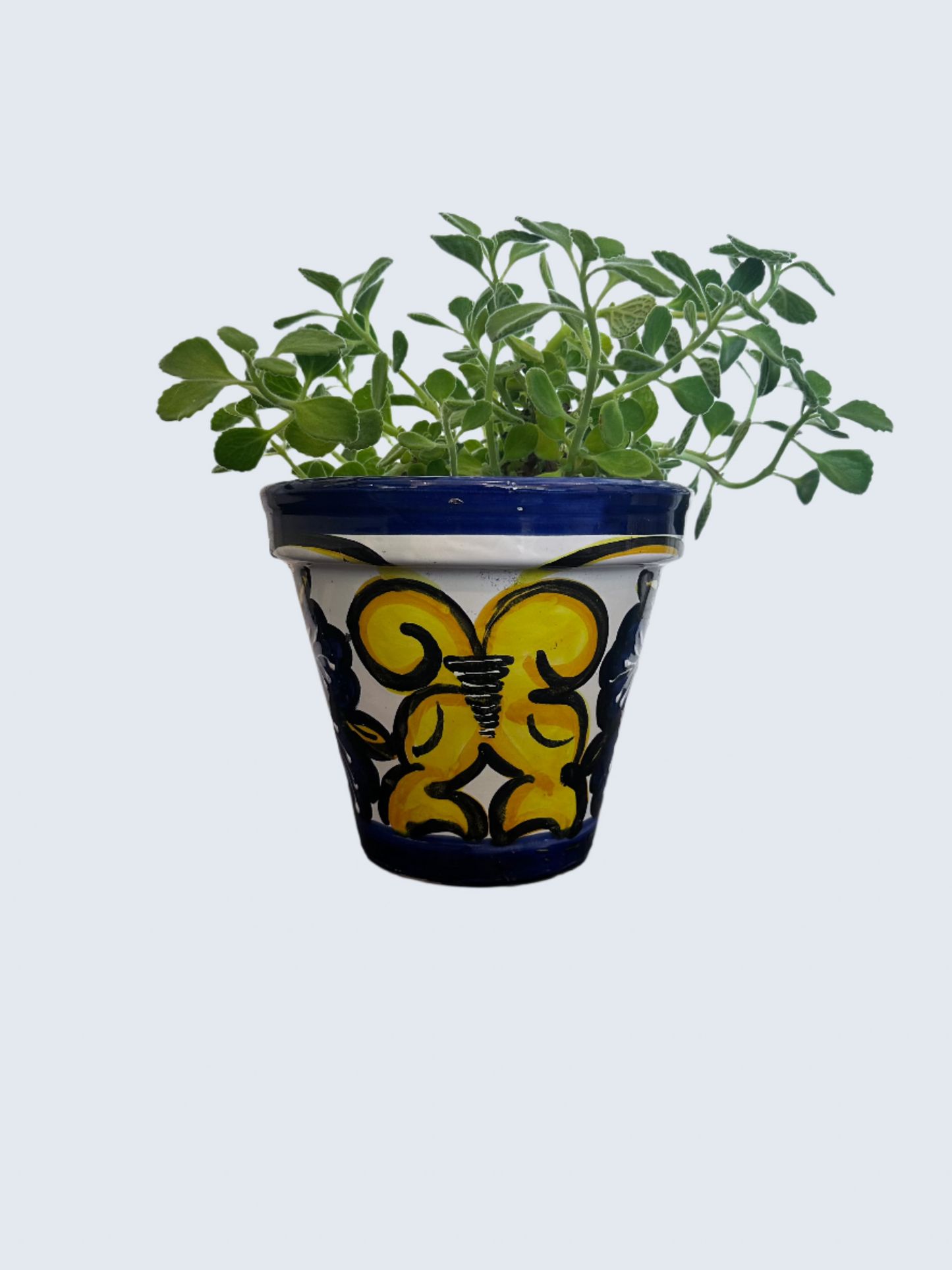 Cerveza in Lime-8" Hand Painted Flower Pot