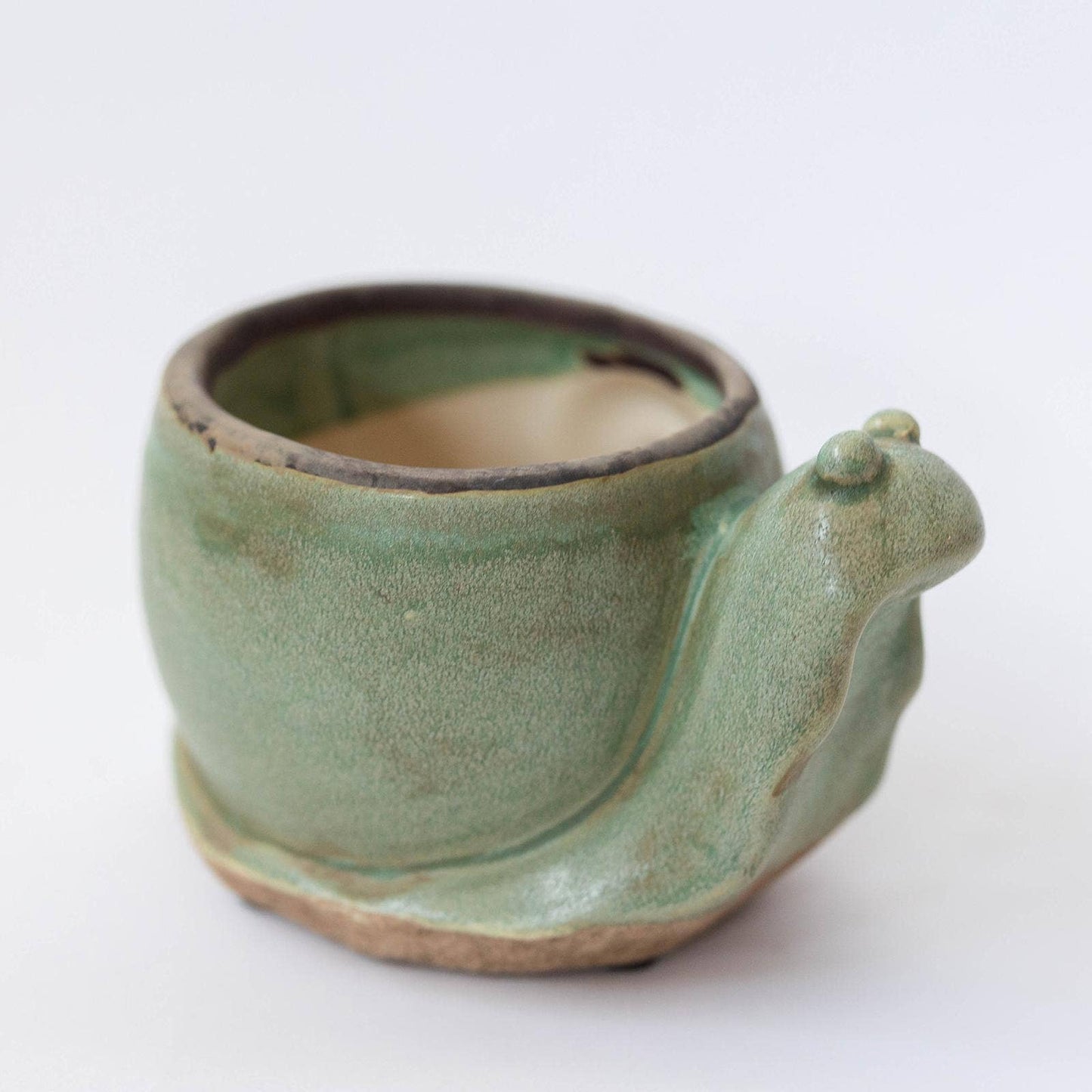 Snail-'Cerveza 'n Lime' 4" Flower Pot