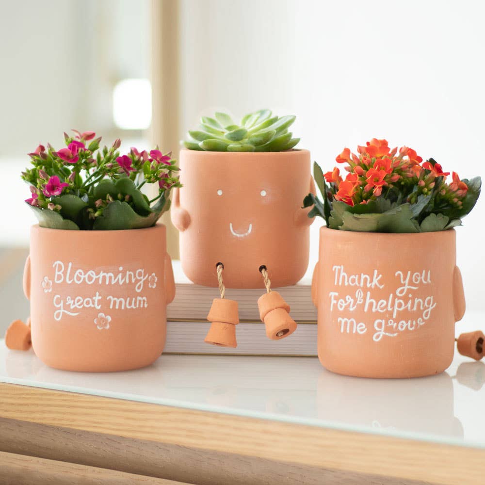 Plant Pot Pal