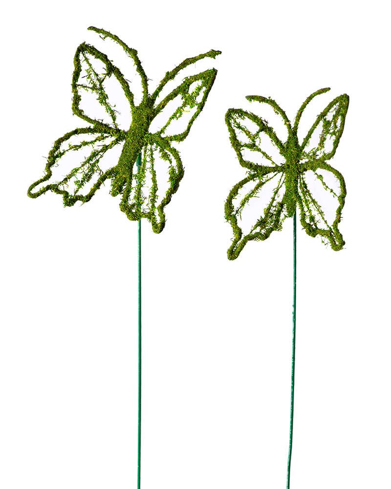 Monarch Moss Pick : Medium
