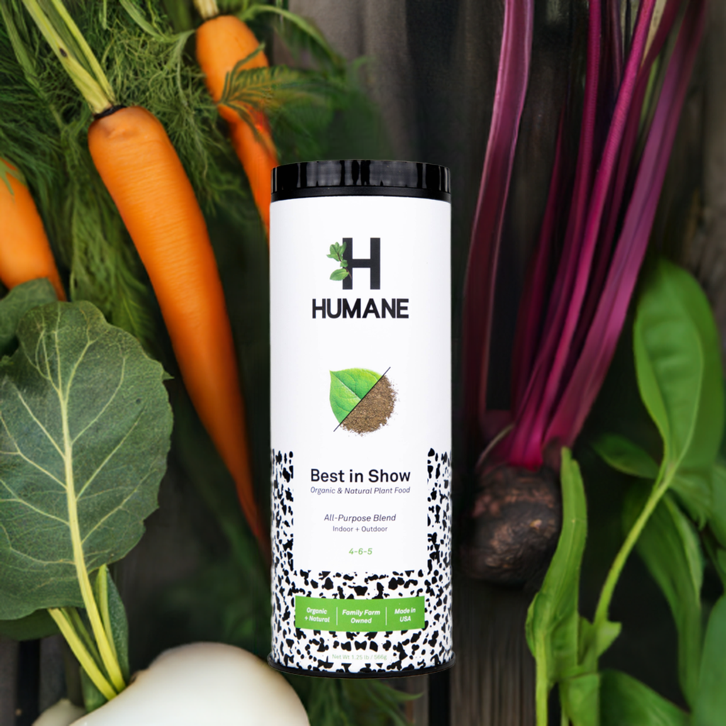 Best in Show All-Purpose Organic Plant Food