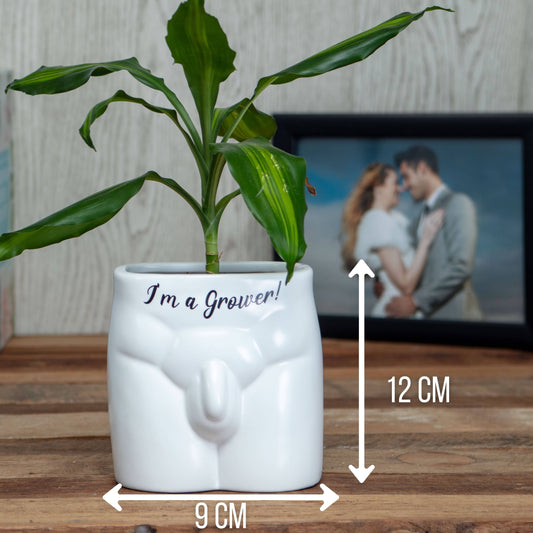 novelty pot