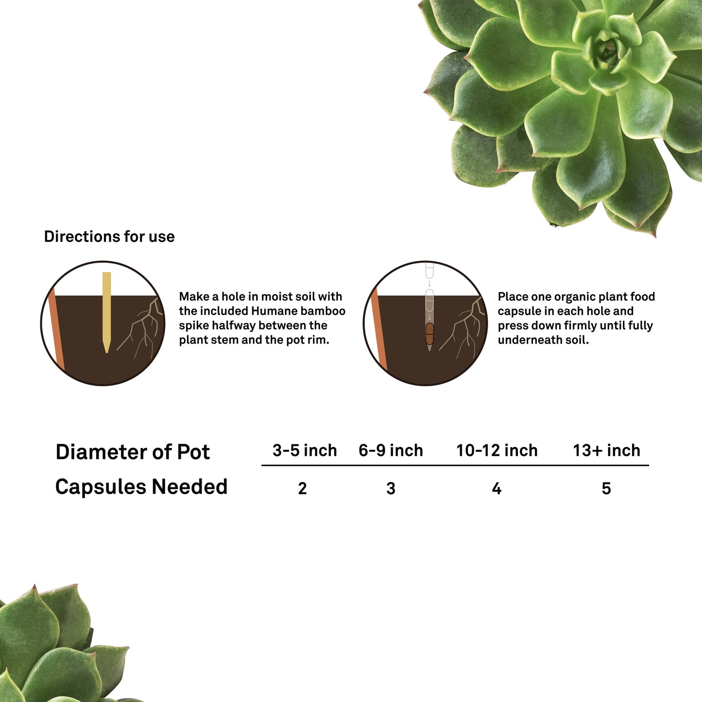 capsule plant food