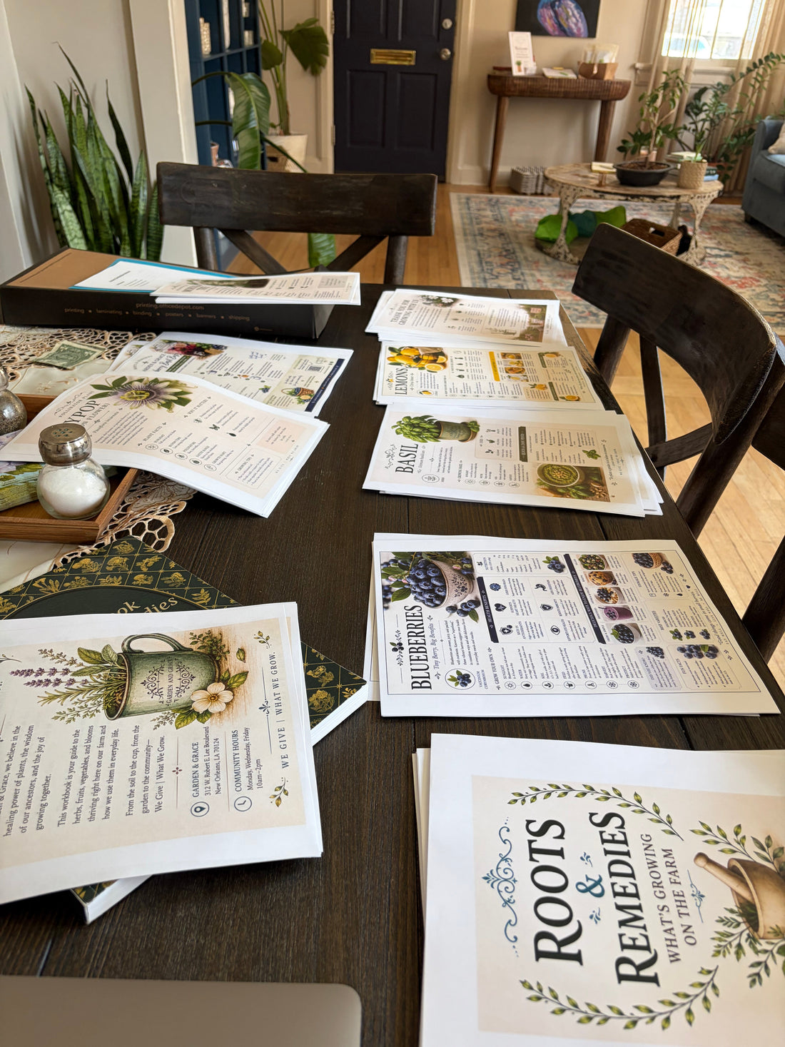 From a Backyard Dream to a Growing Community: The Story of Garden & Grace