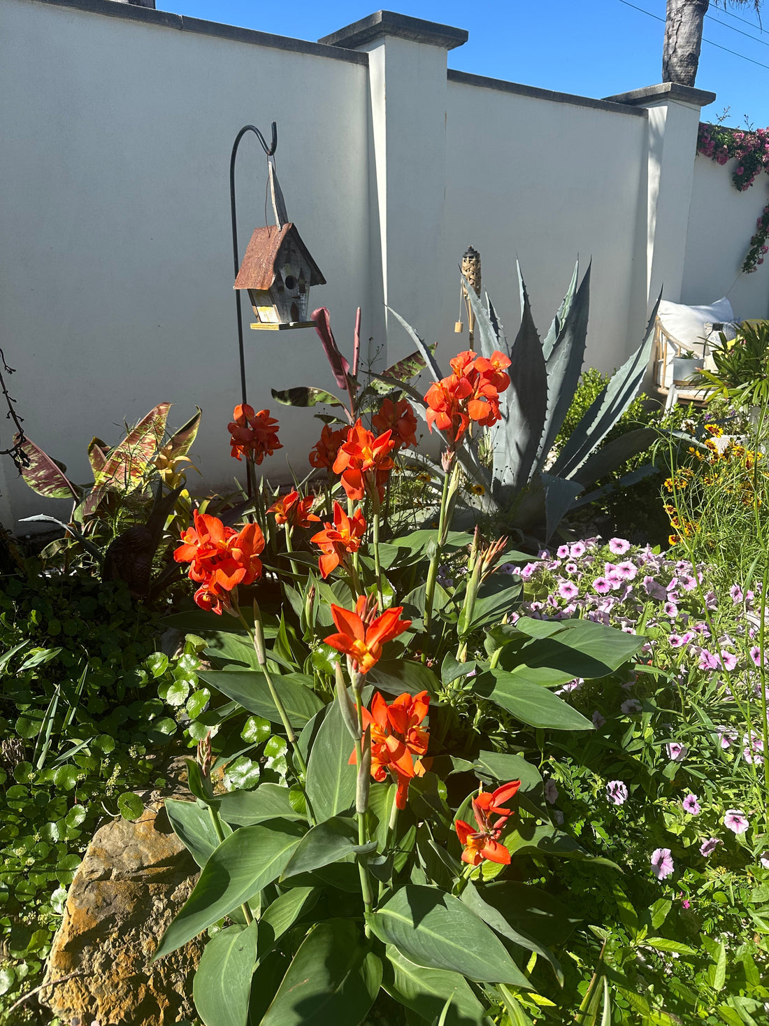 Messy Life; Messy Garden