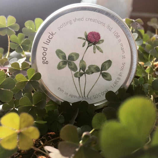 Garden Sprinkles | Good Luck Clover