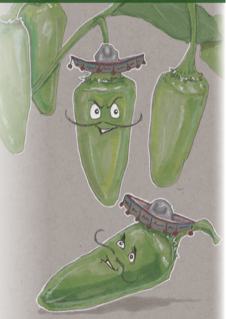 Hot Pepper Seeds - Early Jalapeño