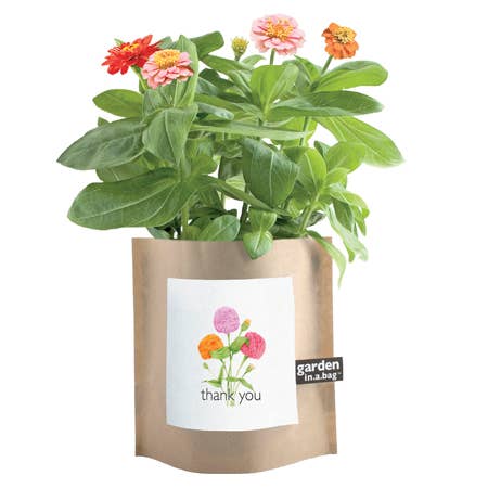 Garden in a Bag | Thank You | Zinnias