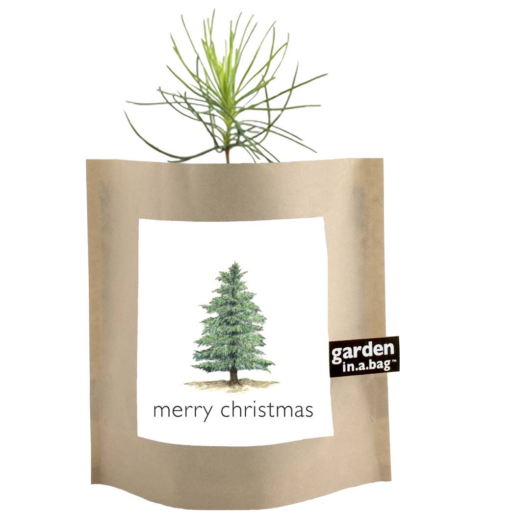 Garden in a Bag | Christmas Tree