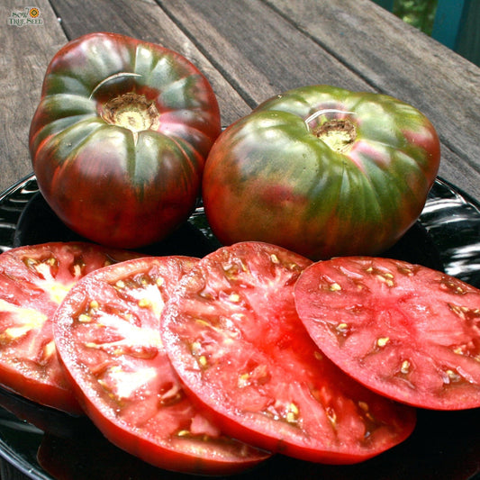 Slicing Tomato Seeds - Cherokee Purple