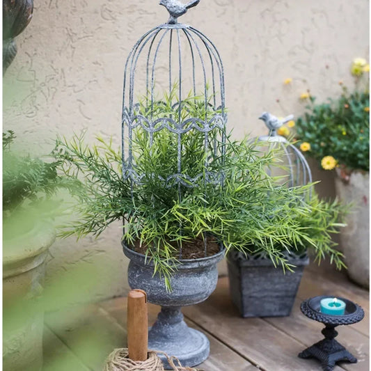 Vintage Bird Cage Plant Pot, Climbing Vine Flower Pot, Iron Making Old Stand for Flowers, Versatile Practical Home Garden