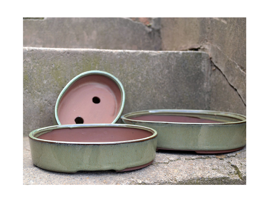 Kyoto Bonsai Cinnamon Set of 3 - Sold in Case of 2