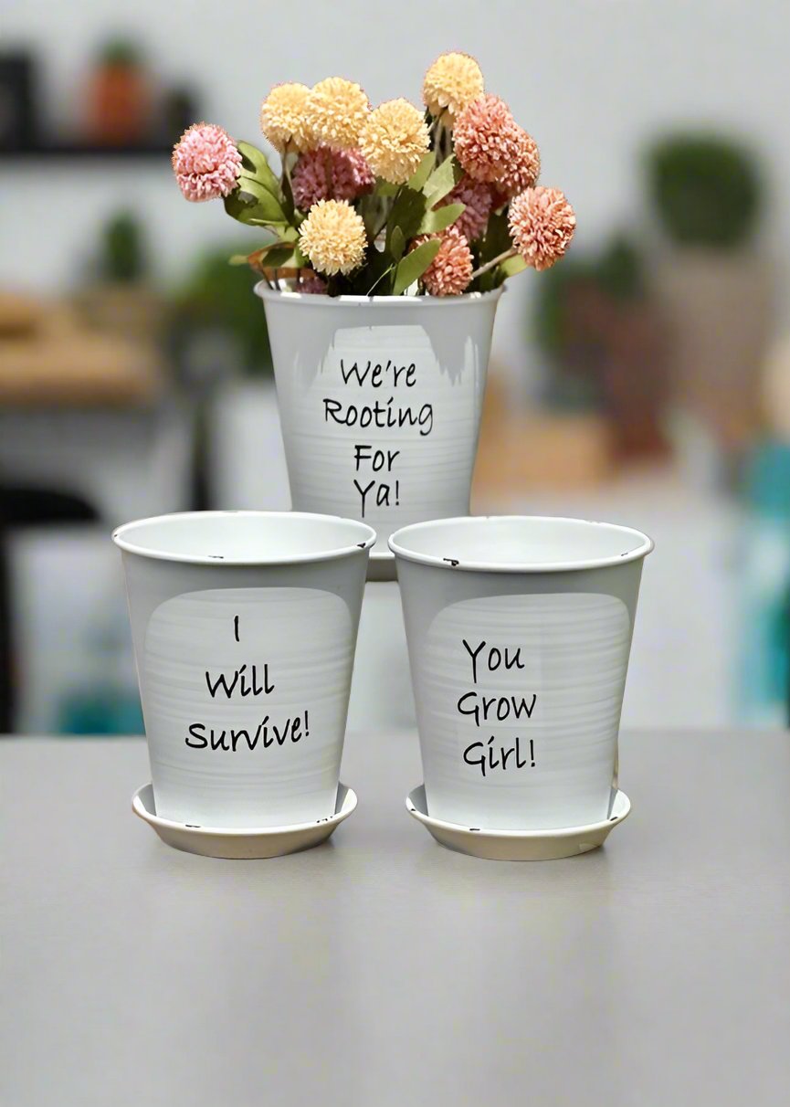 Positivity Metal Planters