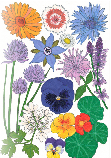 Flower Seed Mix - Edible Flowers