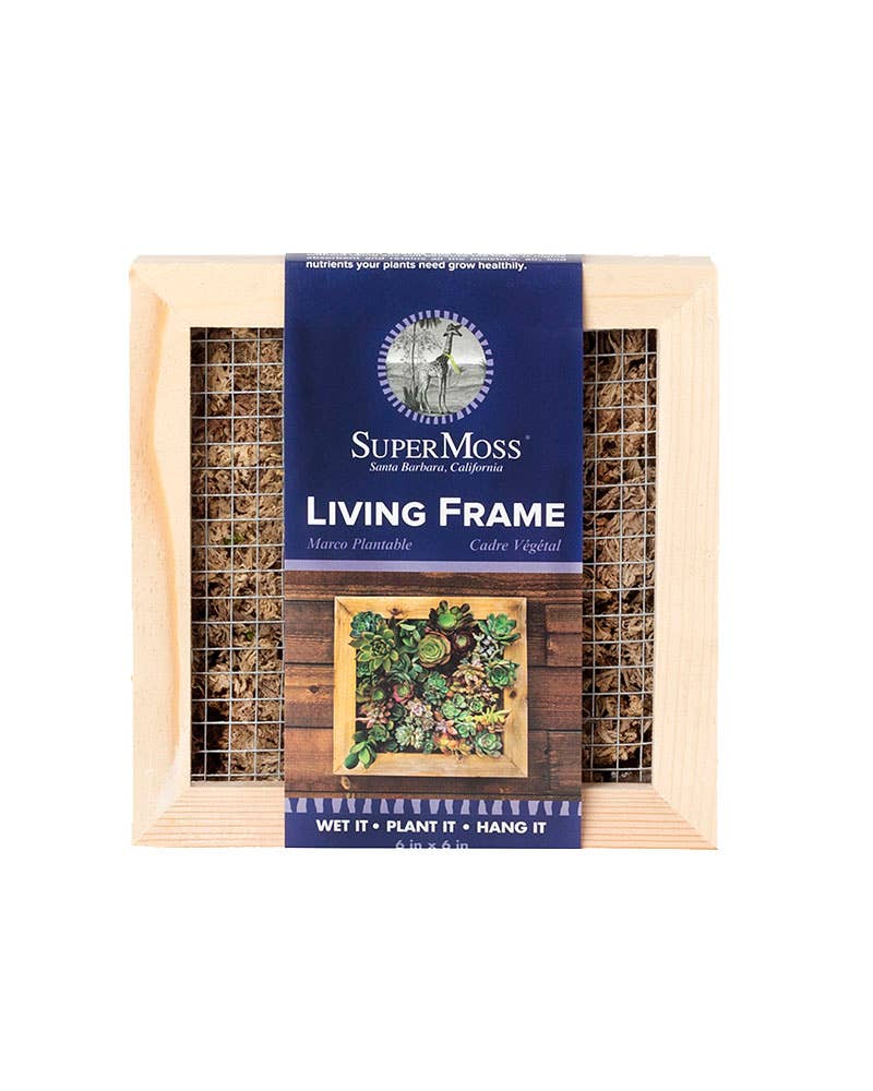 Sphagnum Moss Living Frame