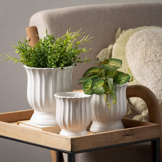 Matte White Scalloped Planter-Set of 3