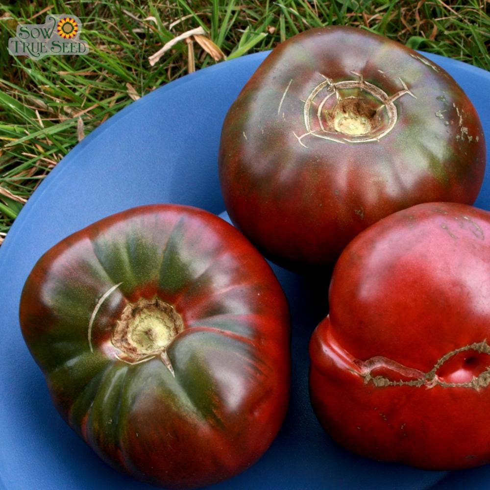 Slicing Tomato Seeds - Cherokee Purple