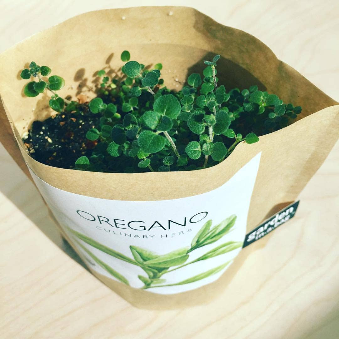 Garden in a Bag | Oregano