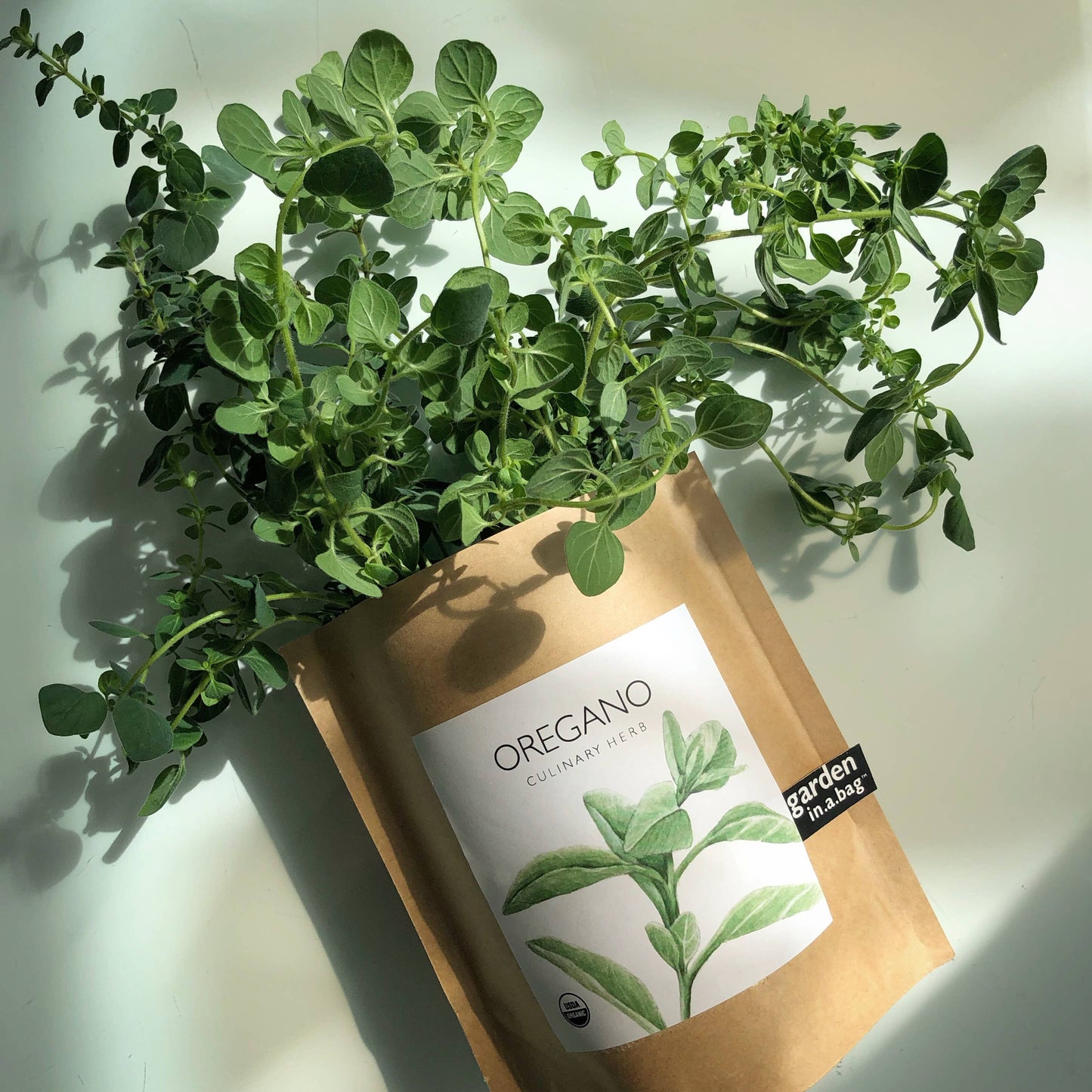 Garden in a Bag | Oregano