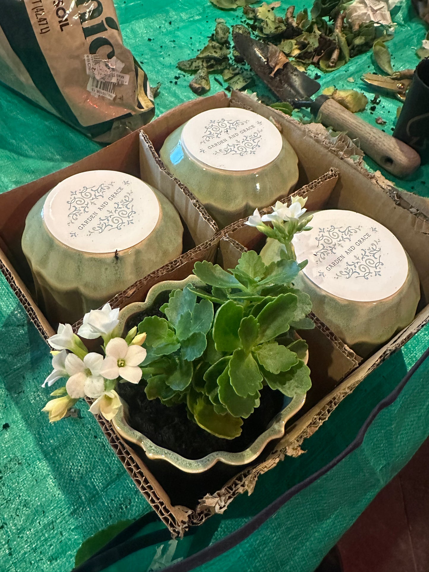 Keepsake Blooming Pot