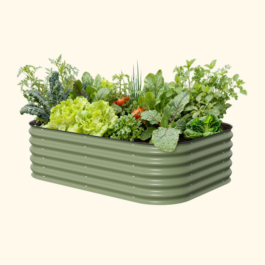 Raised Bed
