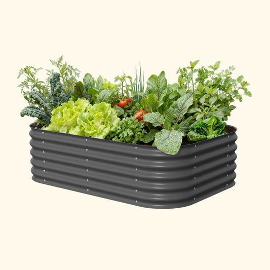 vego garden