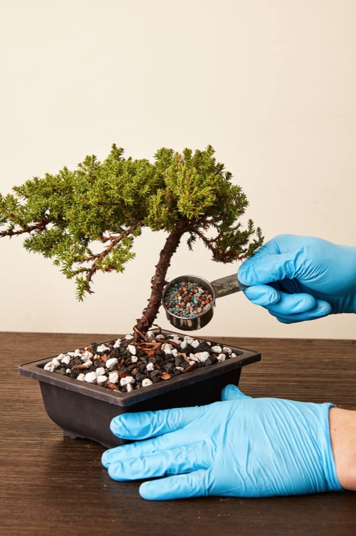bonsai fertilizer