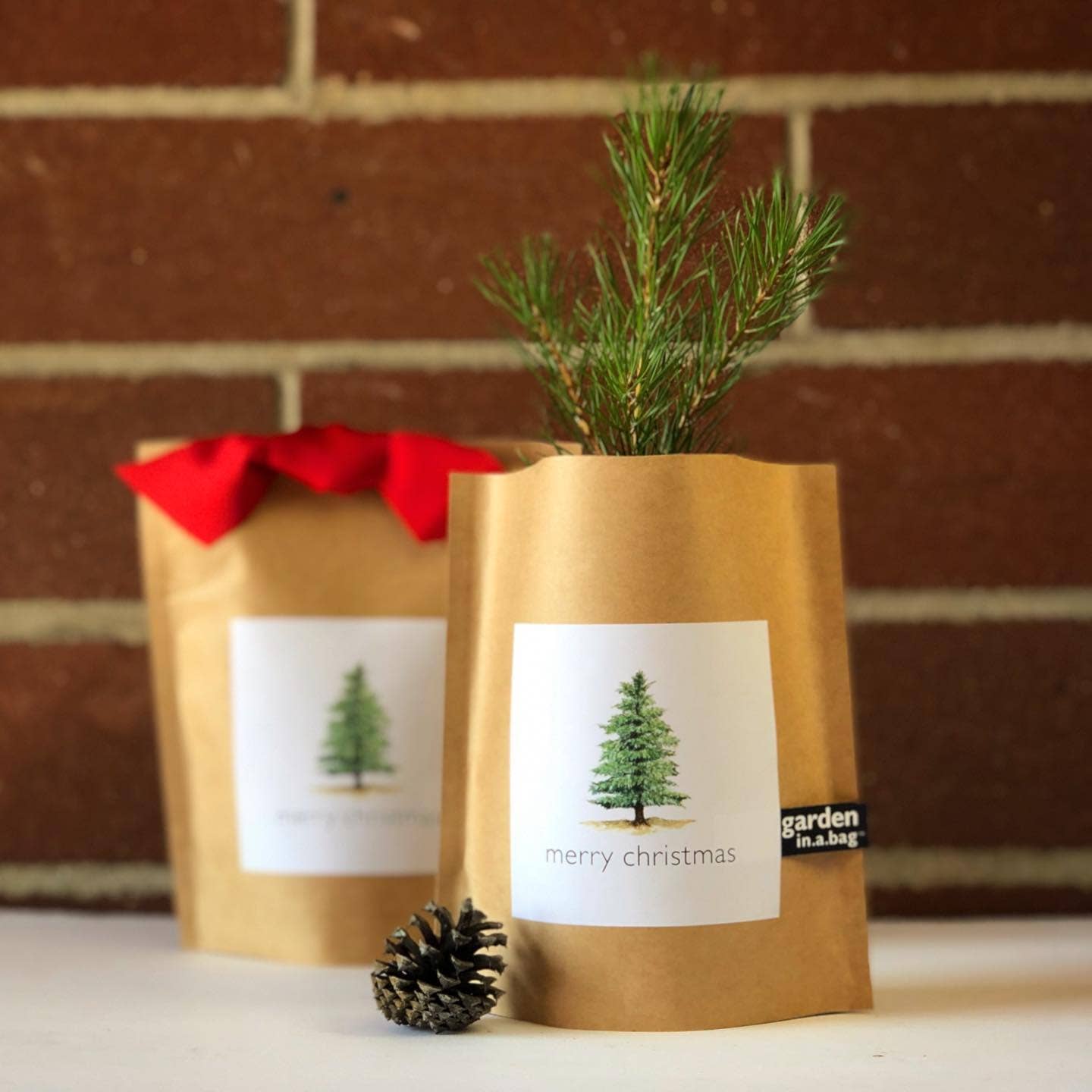 Garden in a Bag | Christmas Tree