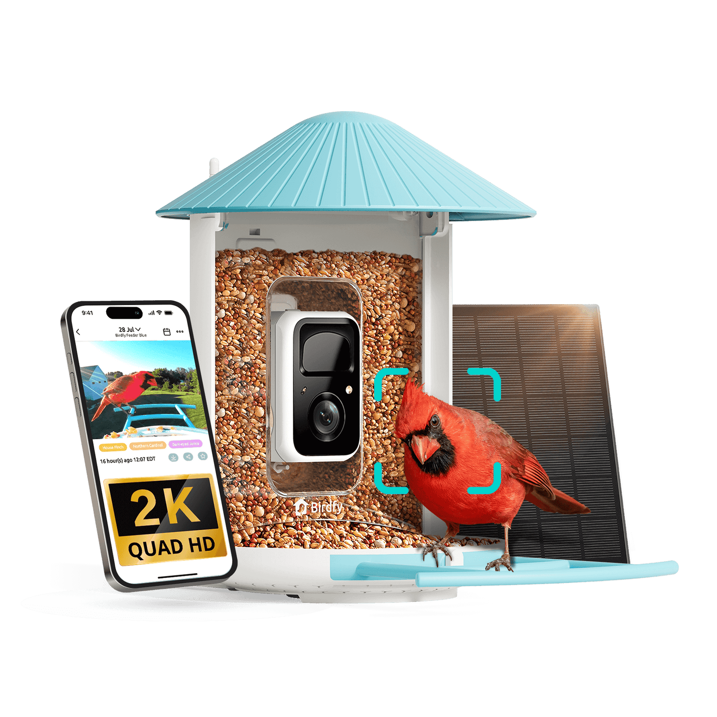 bird watching camera