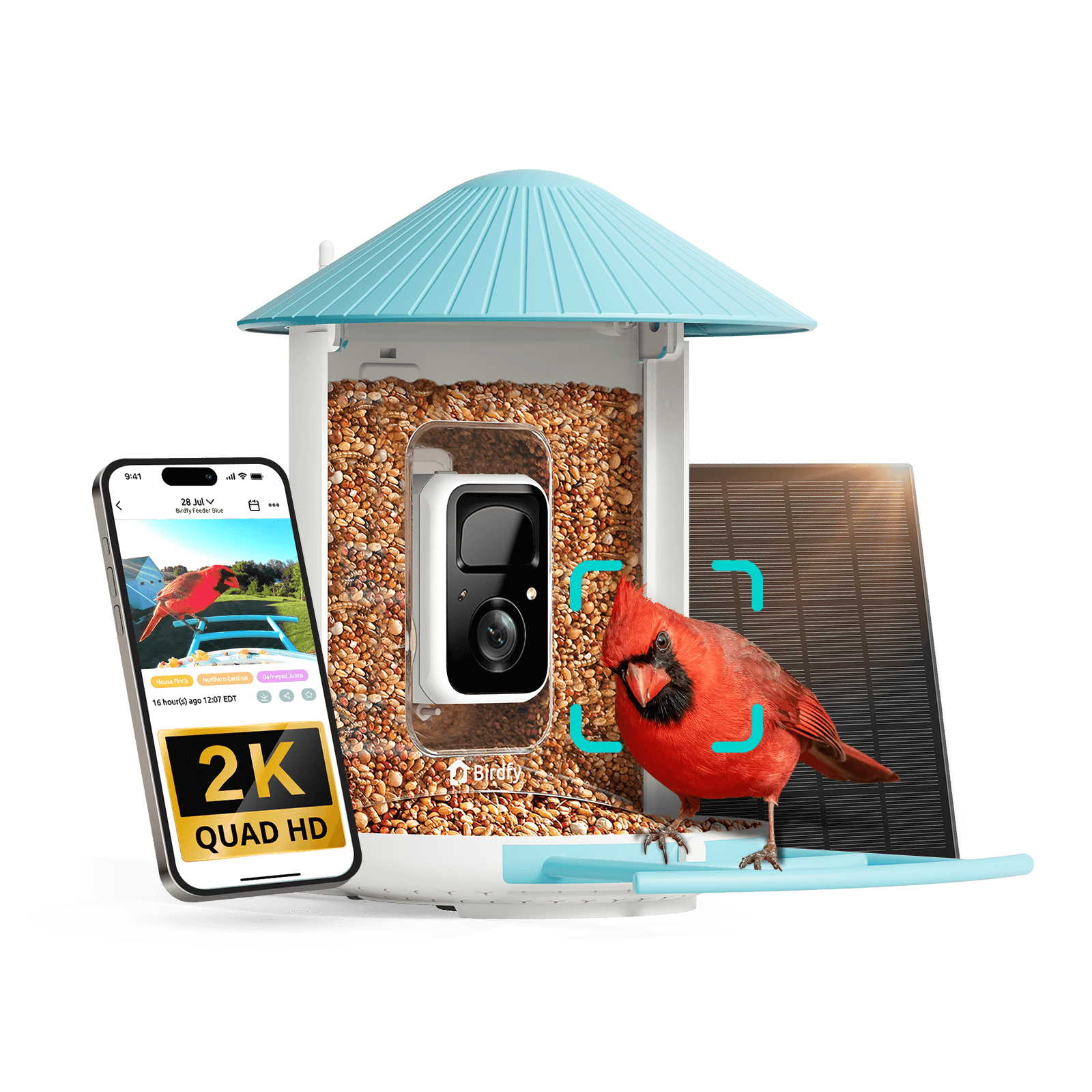 bird watching camera
