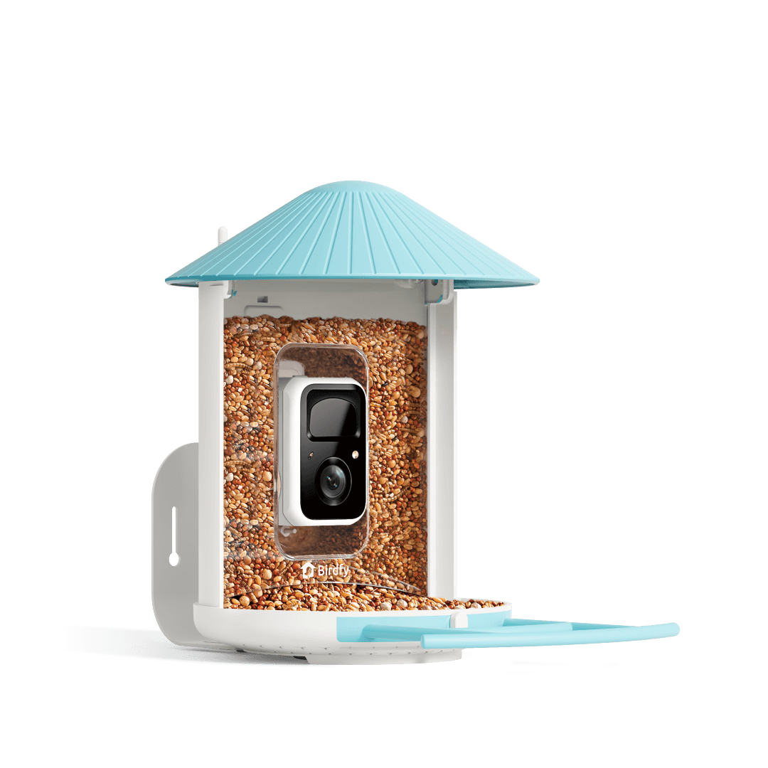 ai bird feeder