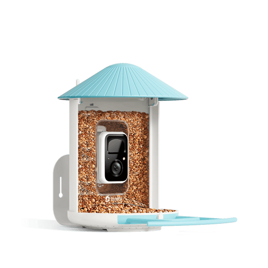 ai bird feeder