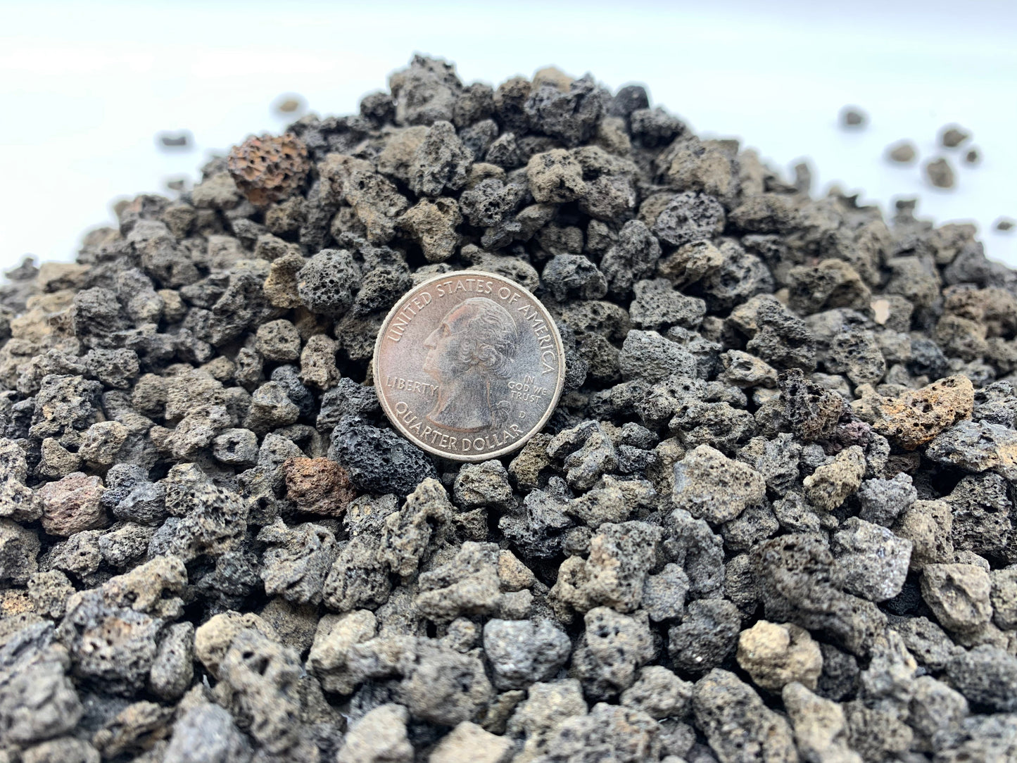 black bonsai soil