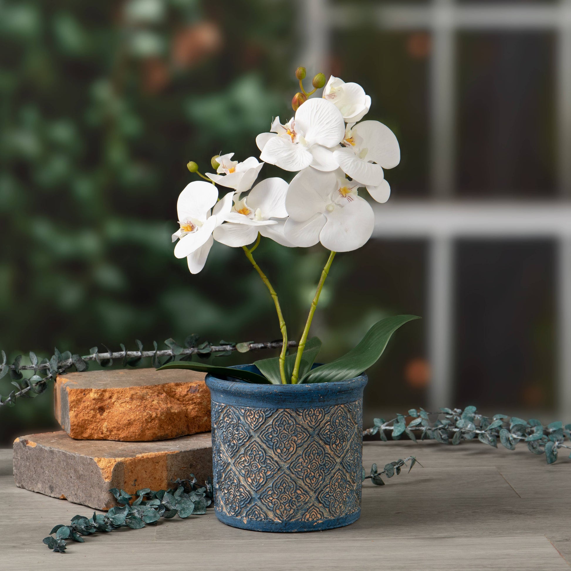 orchid planter