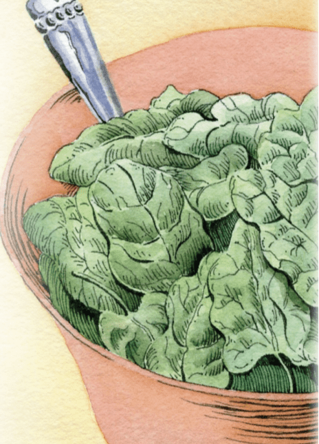 Spinach Seeds - America