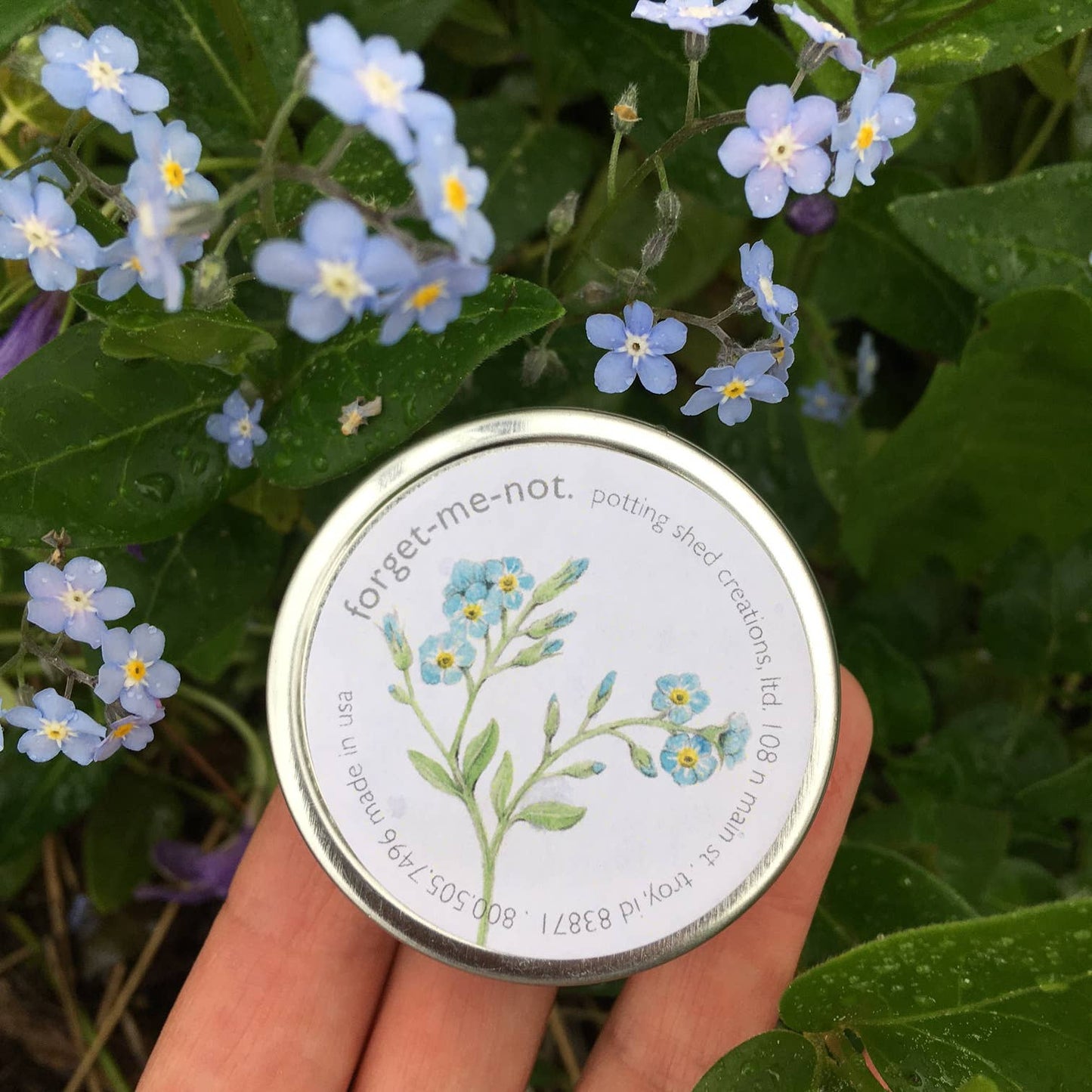 Garden Sprinkles | Forget-Me-Not