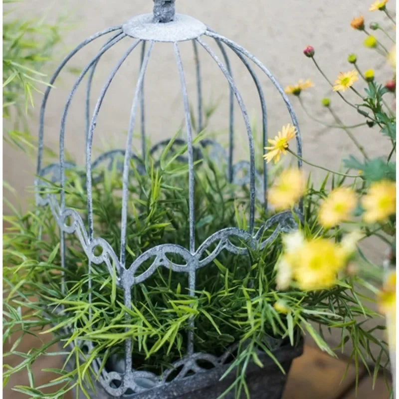 Vintage Bird Cage Plant Pot, Climbing Vine Flower Pot, Iron Making Old Stand for Flowers, Versatile Practical Home Garden