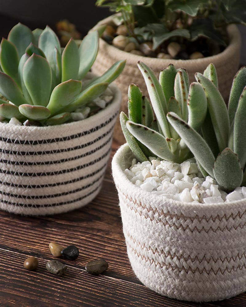 Soft Weave 4" Basket Planters