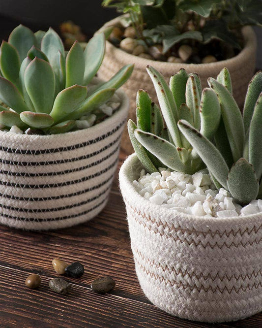 SoftWeave Planters 4″, Mixed Case, Set of 4